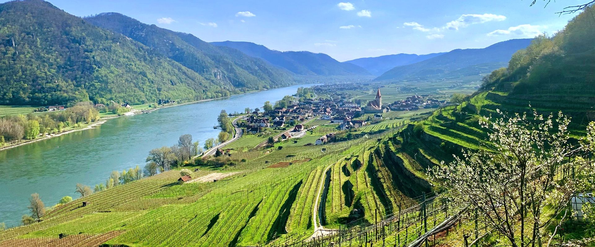 Die Wachau bei Weissenkirchen